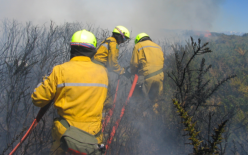 Firefighters